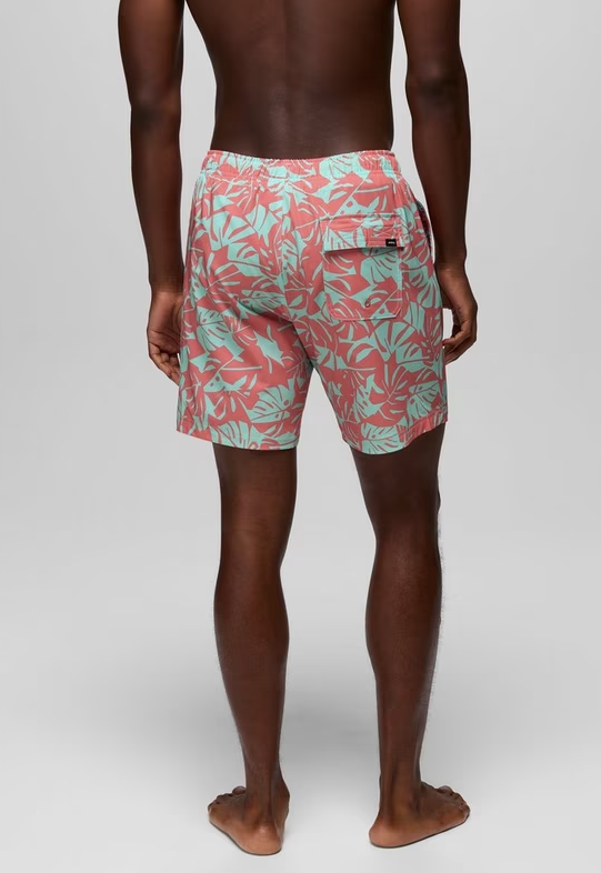 La Jolla Lined Short