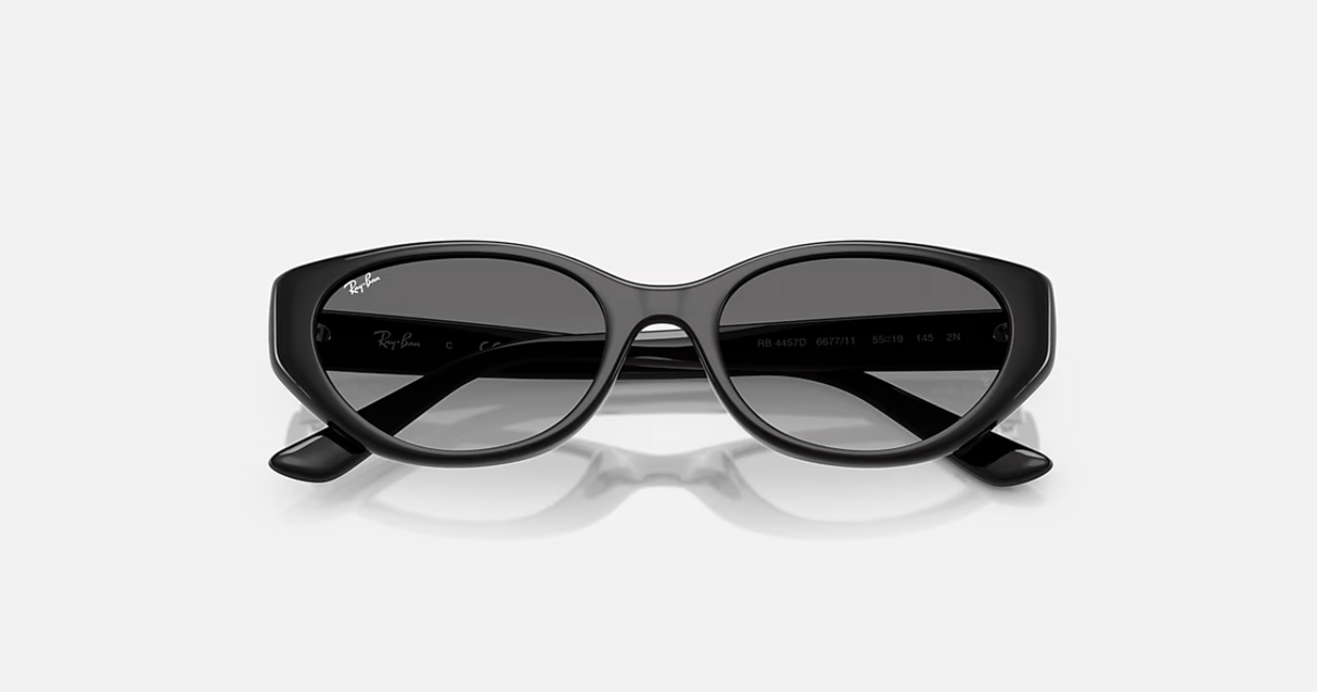 RB4457D Bio-Based 667711 Polished Black w/ Grey Gradient 53
