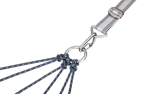 Apollo Suspension System