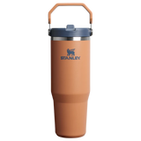 IceFlow2 Flipster Waterbottle 30oz