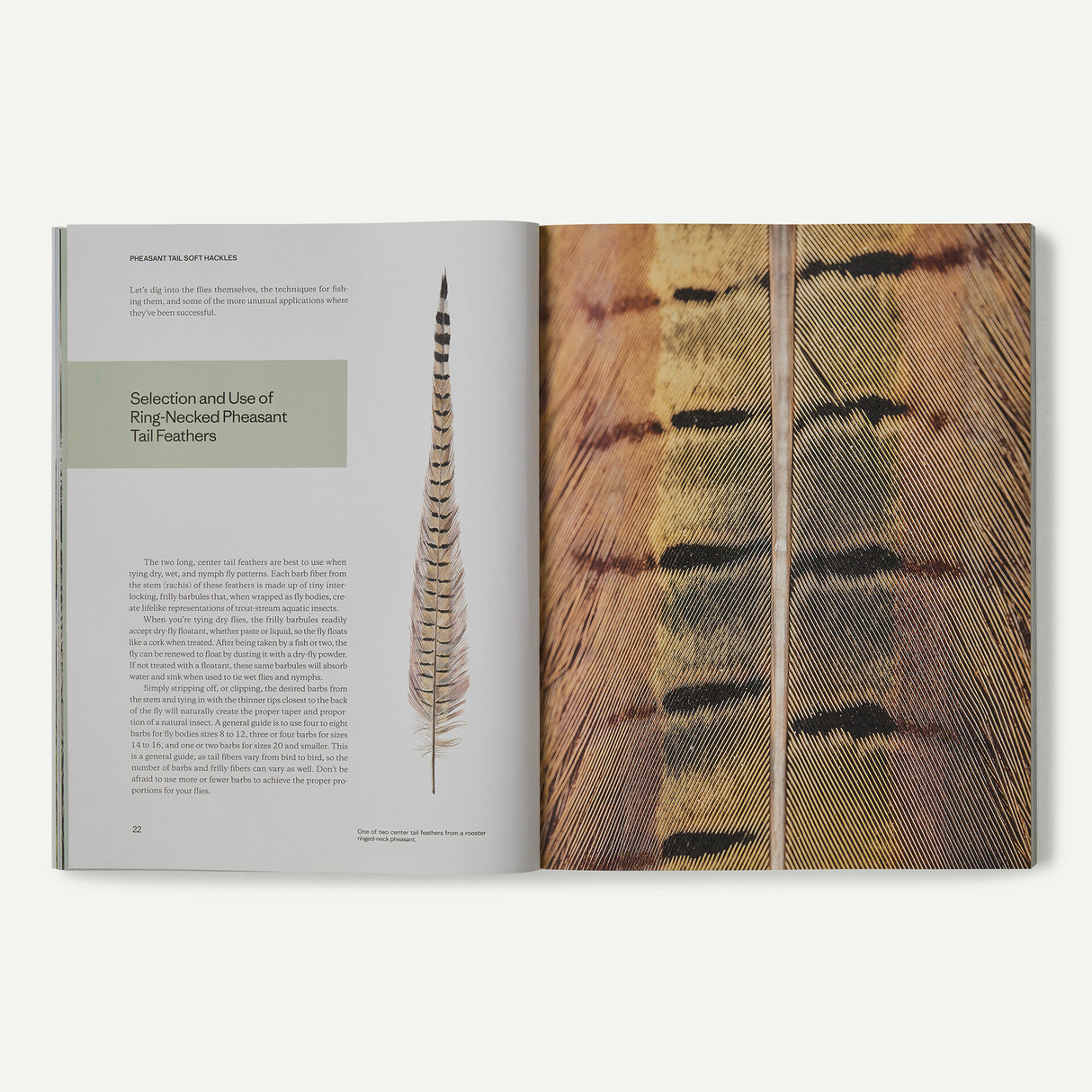 Pheasant Tail Simplicity Paperback