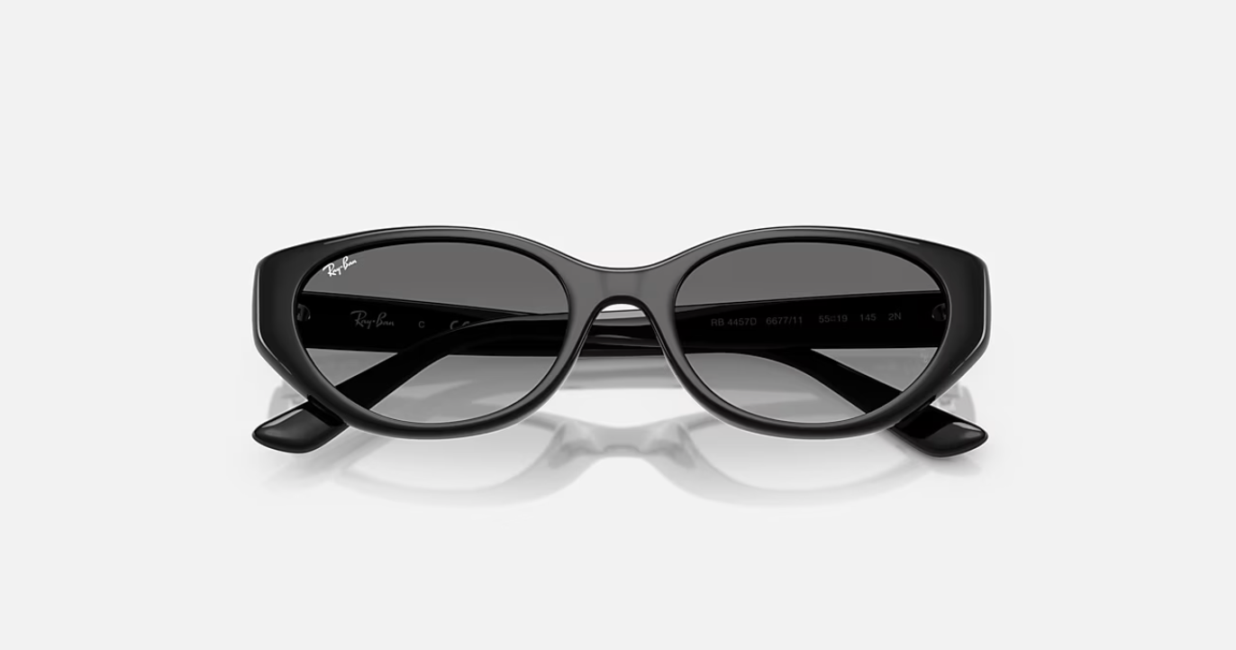 RB4457D Bio-Based 667711 Polished Black w/ Grey Gradient 53